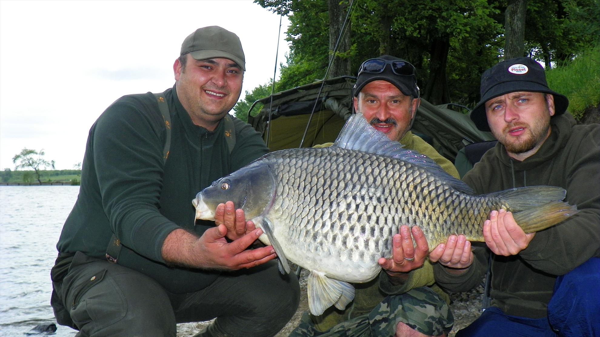 Crapmania - 2011 - 1000989.JPG